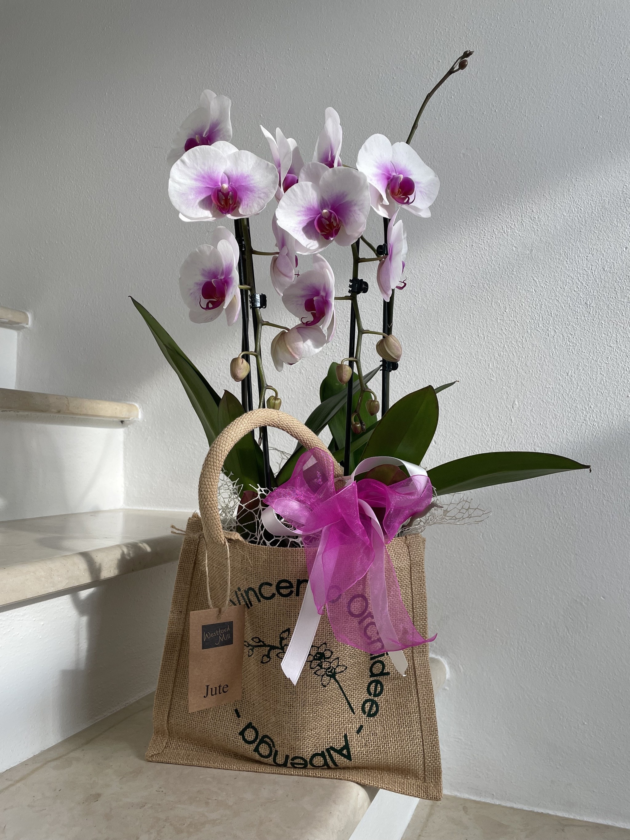 Sac Cadeau Zen Orchidée 14cm Gris & Rose